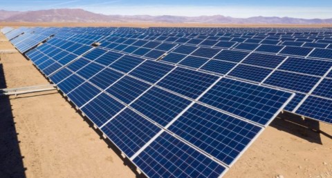 الاجتماع الأسبوعي للحكومة