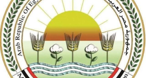 الزراعة: ضبط 71 طنًا من الأسماك المملحة والمدخنة غير الصالحة 