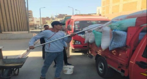 توريد 3353 طن قمح لمواقع التخزين والصوامع بالدقهلية