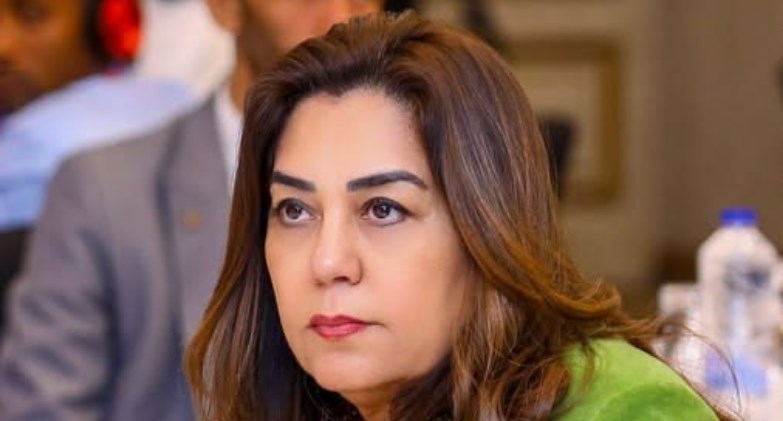 منال عوض وزيرة التنمية المحلية والبيئة