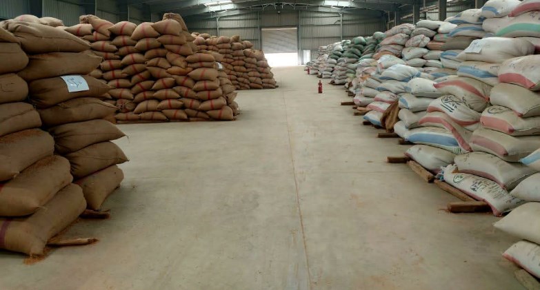 موسم توريد القمح 2026