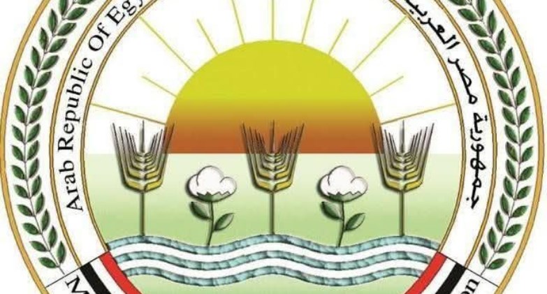 الزراعة: ضبط 71 طنًا من الأسماك المملحة والمدخنة غير الصالحة 