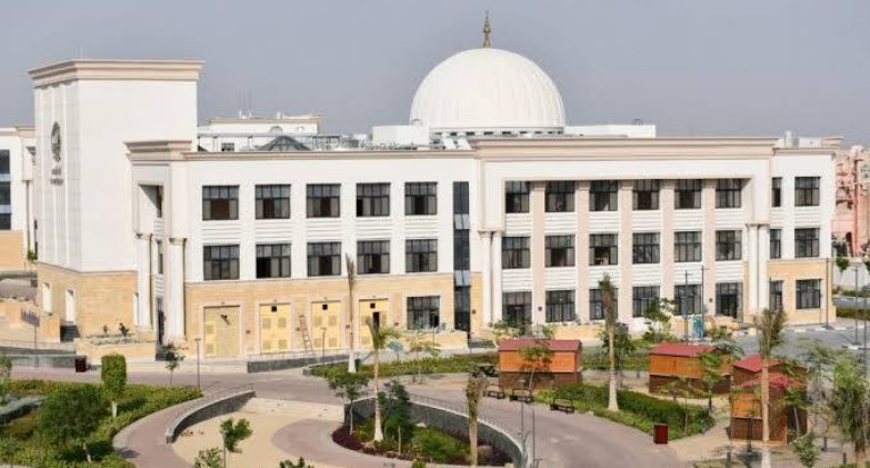 جامعة الإسماعيلية الجديدة الأهلية
