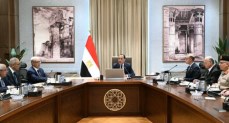 مجلس الوزراء