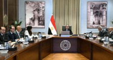 رئيس الوزراء يتابع جهود تنفيذ الخطة الاستراتيجية لتحلية مياه البحر