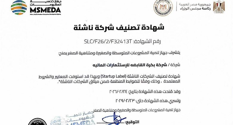 منظومتان.. مهمة واحدة وأدوار متكاملة: شركات التكنولوجيا المالية والبنوك في مصر