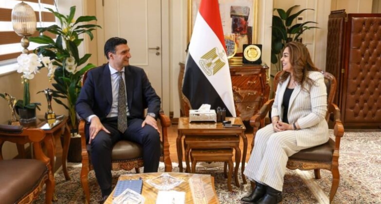 التنمية المحلية 