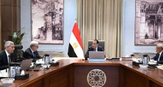 رئيس الوزراء يستعرض خطة تطوير أداء الشركة القابضة للأدوية والشركات التابعة لها