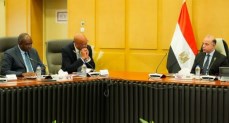  الدكتور محمد فريد صالح