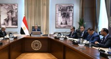 مجلس الوزراء