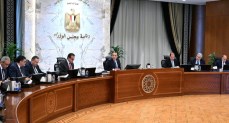 رئيس الوزراء يتابع موقف توافر مخزون من الأدوية والمستحضرات الطبية وسداد مستحقات الشركات