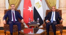 وزير الخارجية والتعاون الدولي والمصريين بالخارج
