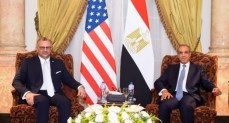 وزير الخارجية والتعاون الدولي والمصريين بالخارج