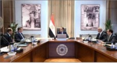 رئيس الوزراء يبحث التوسع فى إنشاء عدد من محطات الثروة الحيوانية