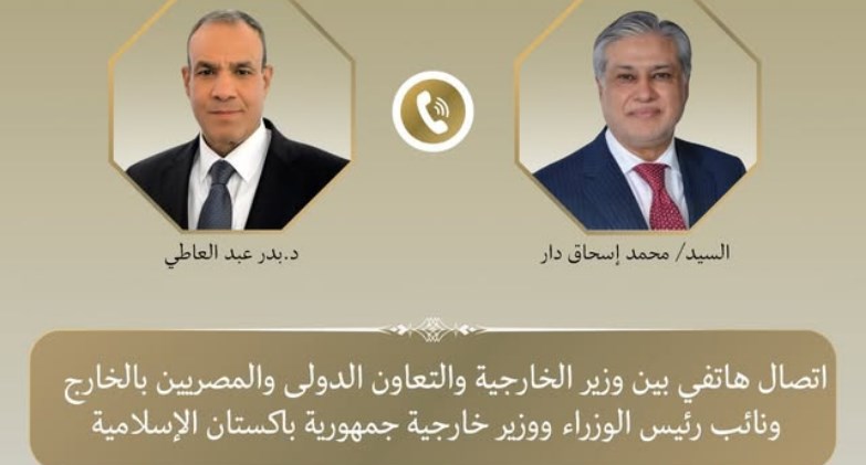 وزير الخارجية والتعاون الدولي والمصريين