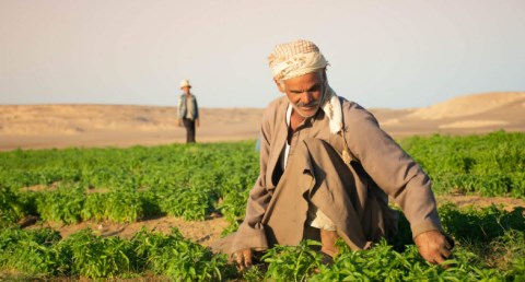سيكم تُسجل إنجازات كبرى في مجالي الأعمال والتنمية المستدامة خلال عام 2025