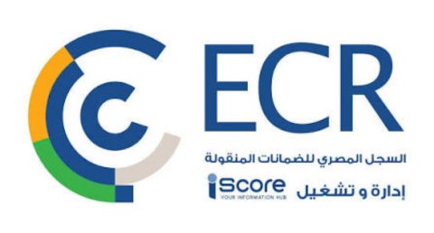 الضمانات المنقولة 