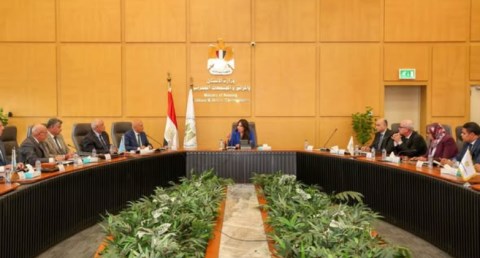 المهندسة راندة المنشاوي