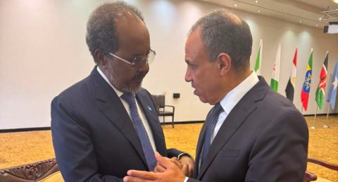 وزير الخارجية يلتقي الرئيس الصومالي على هامش القمة الاستثنائية