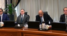  وزير الكهرباء والطاقة المتجددة