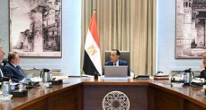 مجلس الوزراء