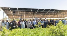 "نستله مصر" "وإنجازات" يعلنان إطلاق المرحلة الثانية من برنامج ازرعهاSmart –