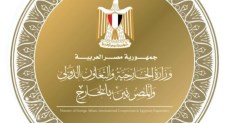 ، وزير الخارجية والتعاون الدولي والمصريين بالخارج