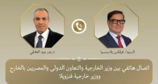 وزير الخارجية والتعاون الدولي والمصريين بالخارج