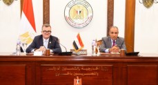 وزير الخارجية والتعاون الدولي والمصريين بالخارج