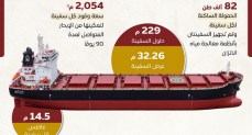 إعلام الوزراء يستعرض مواصفات سفينتي الصب الجاف "وادي النيل" و"وادي القمر" 