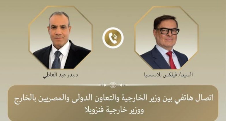 وزير الخارجية والتعاون الدولي والمصريين بالخارج