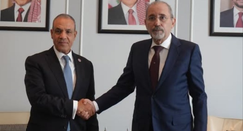 وزير الخارجية والتعاون الدولي والمصريين بالخارج