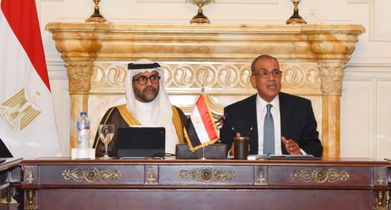 وزير الخارجية والتعاون الدولي والمصريين بالخارج