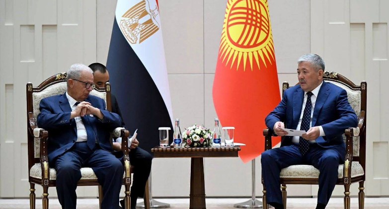 نائب رئيس الوزراء يبحث مع رئيس الوزراء القيرغيزي في “بيشكيك”  التعاون المشترك