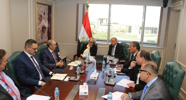 وزير الكهرباء والطاقة المتجددة يستقبل سفيرة فنلندا بالقاهرة ووفدًا من شركة وارتسيلا الفنلندية 