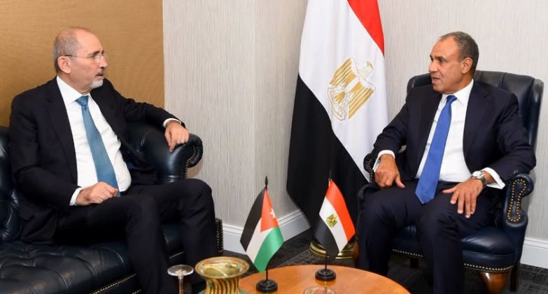  بدر عبد العاطي